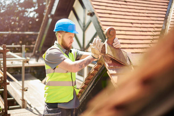 Roof Gutter Cleaning in Cleves, OH